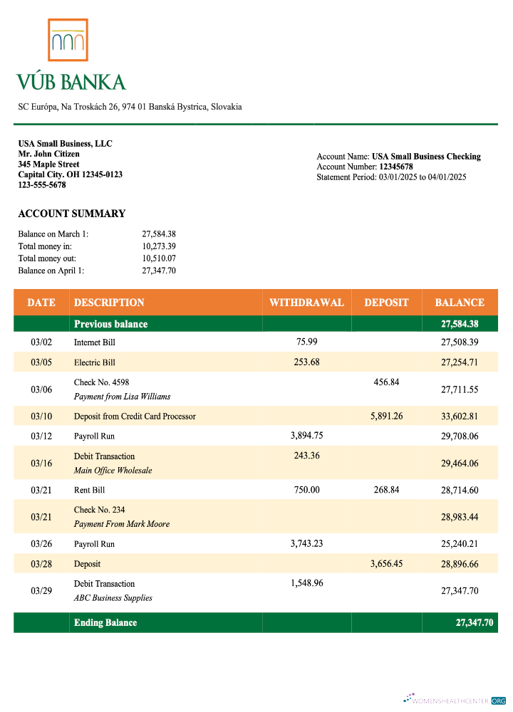Download Slovakia VUB organization statement Word and PDF template Photoshop template
